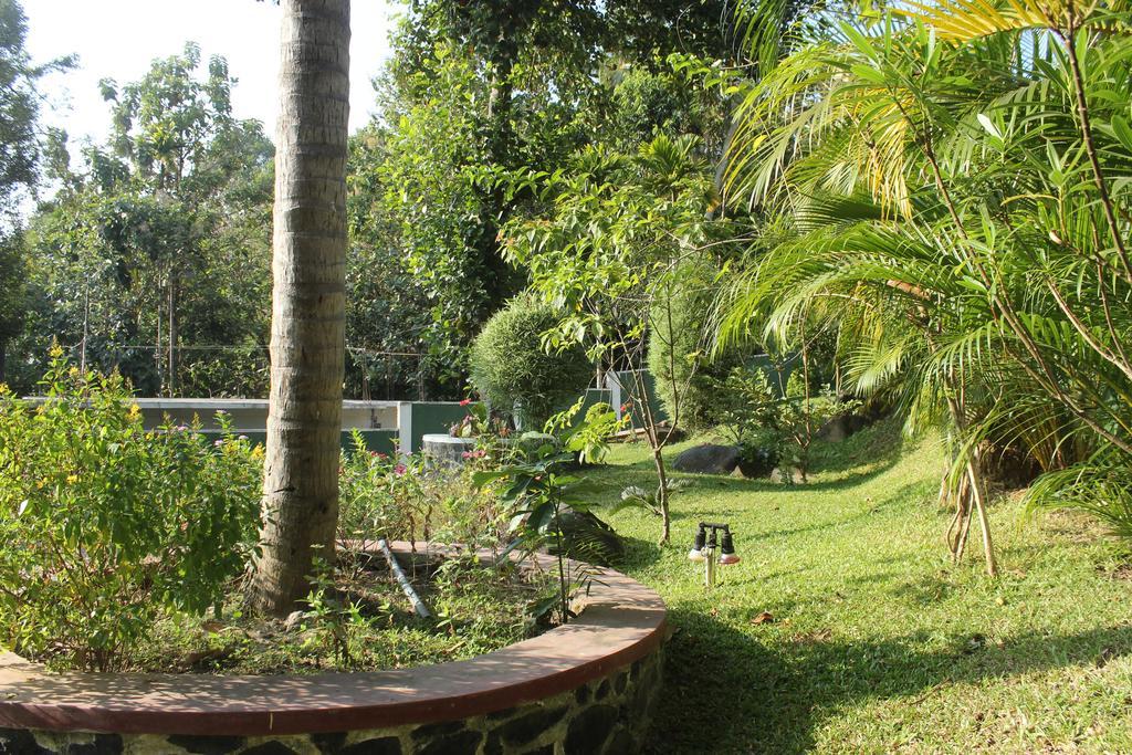Green View Holiday Resort Kandy Dış mekan fotoğraf